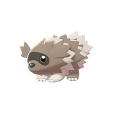 Buy Zigzagoon in Brilliant Diamond & Shining Pearl